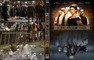 STONEHEARST ASYLUM